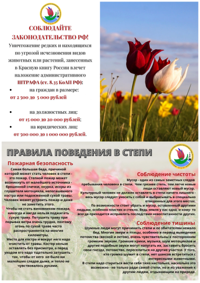 Правила поведения в степи.